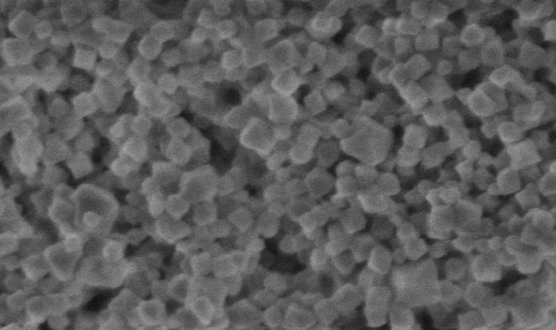 UiO-66 (Zr) - CD Bioparticles